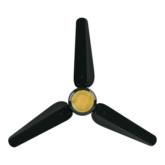 Future AC INVERTER 30 - Watt ( ECO SMART )