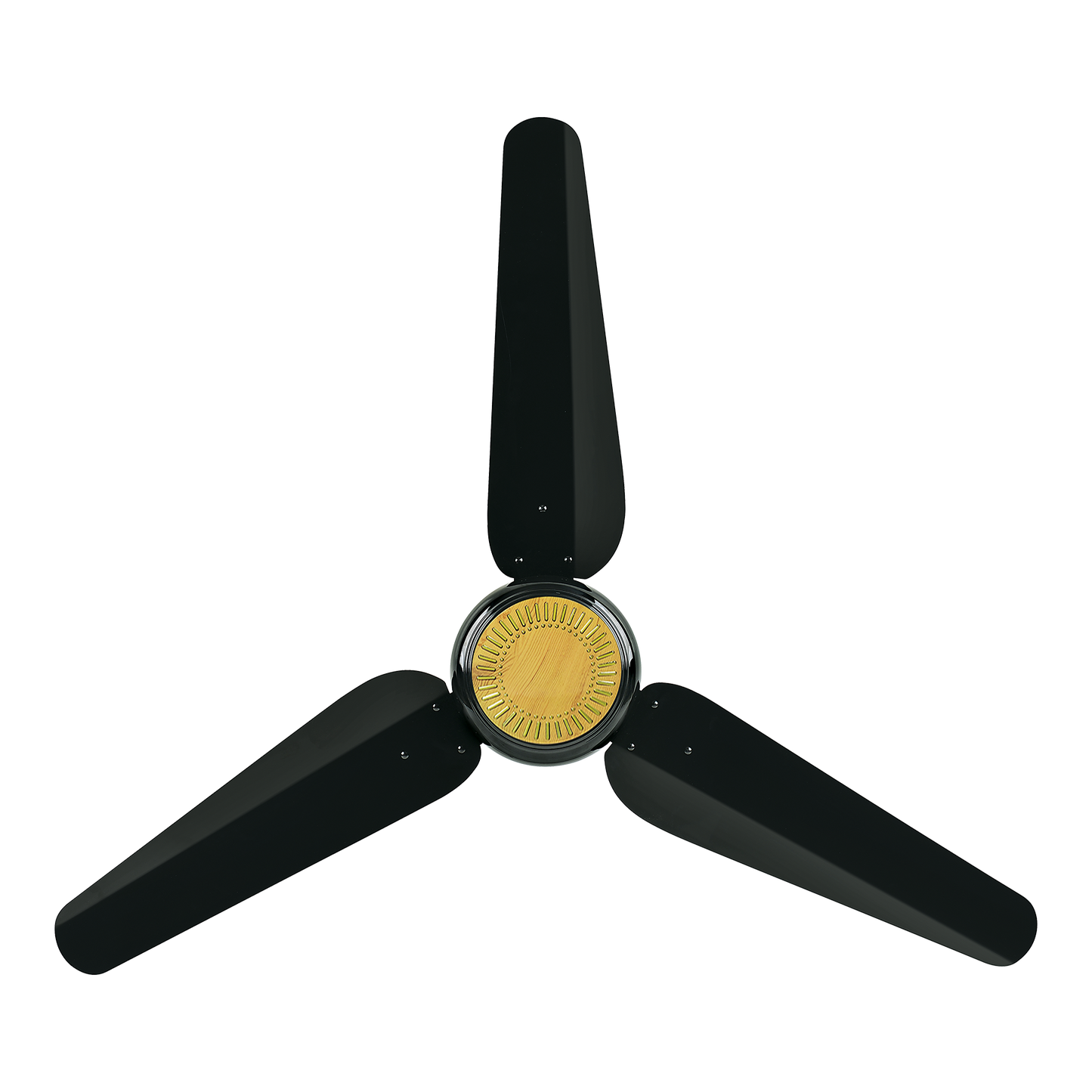 Future AC INVERTER 30 - Watt ( ECO SMART )