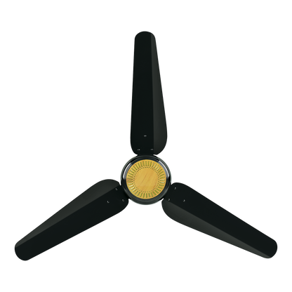 Future AC INVERTER 30 - Watt ( ECO SMART )