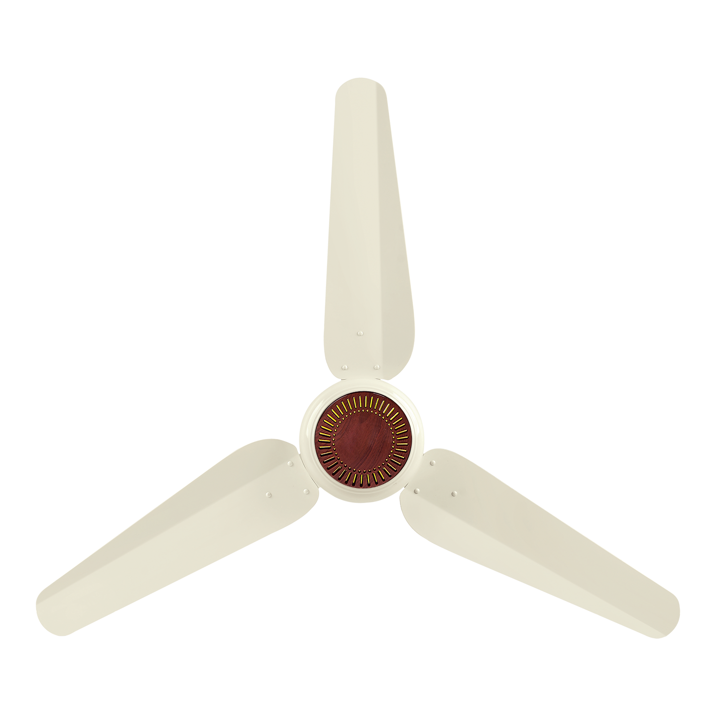 Future AC INVERTER 30 - Watt ( ECO SMART )