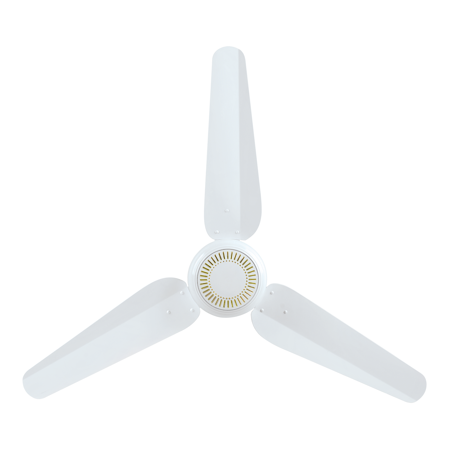 Future AC INVERTER 30 - Watt ( ECO SMART )