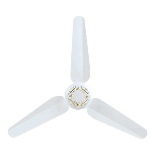 Future AC INVERTER 30 - Watt ( ECO SMART )