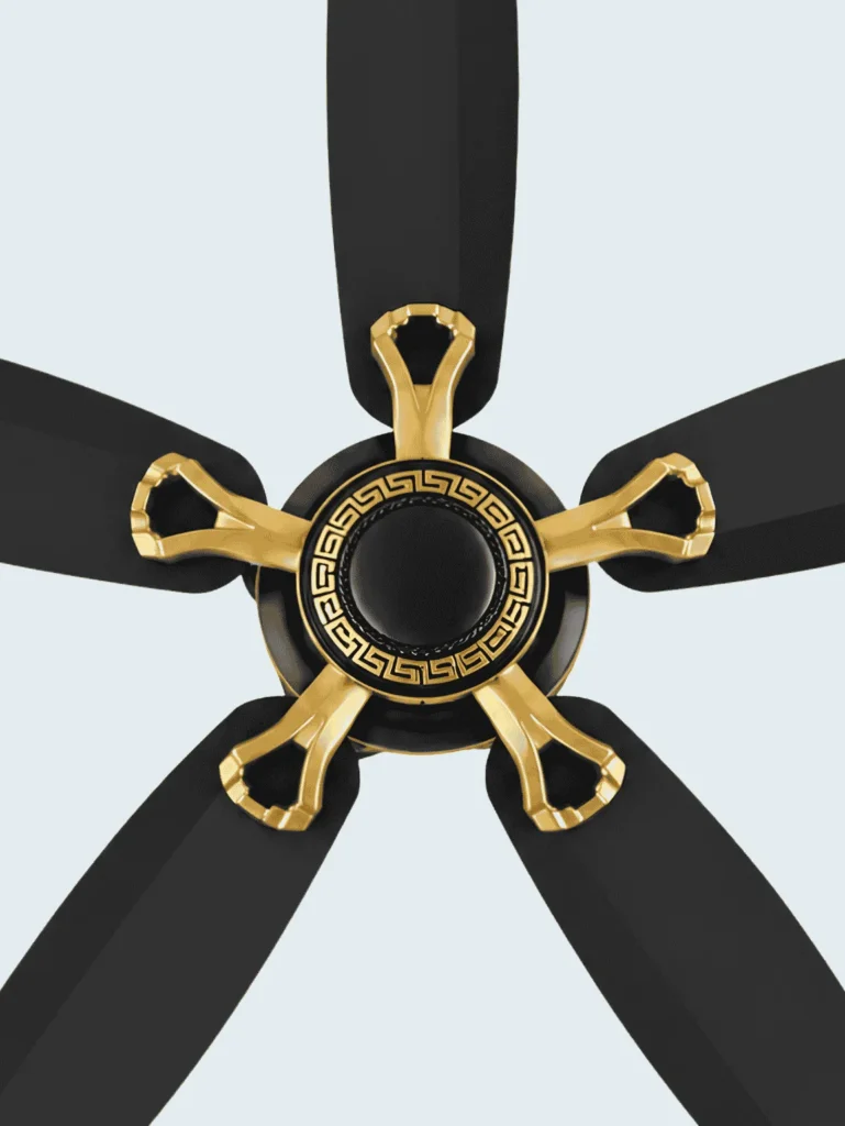 5 Blade Fan