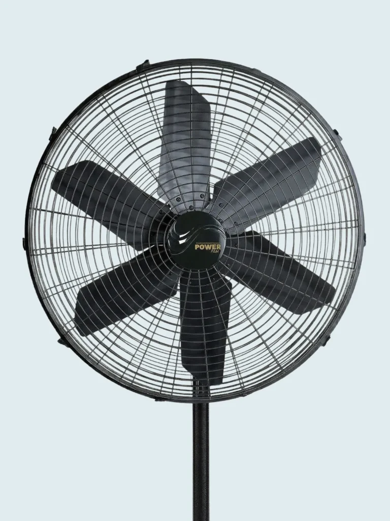 Pedestal Fan